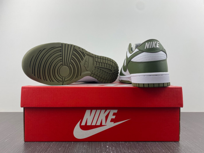 Nike Dunk Low Medium Olive  - DD1503-120