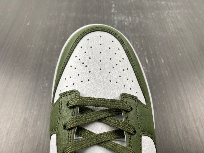 Nike Dunk Low Medium Olive  - DD1503-120