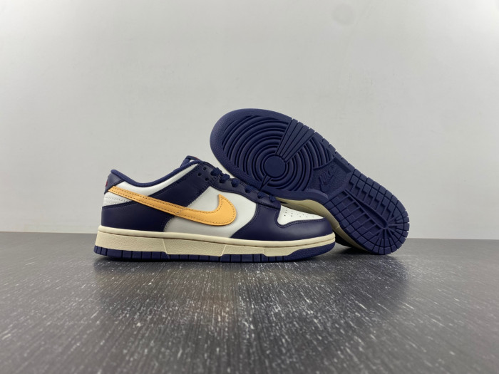 Nike Dunk Low Retro FV8106-181