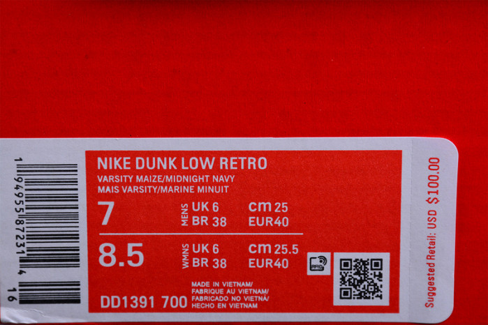 NIKE Dunk Low "Retro" Vibe DD1391-700
