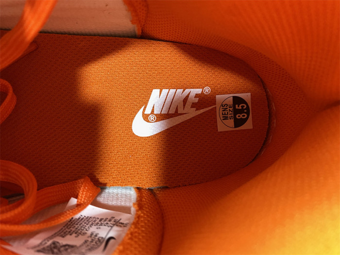 Nike Dunk High Syracuse (2021) - DD1399-101
