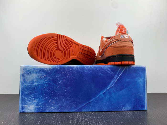 Concepts x Nike SB Dunk Low “Orange FD8776-800