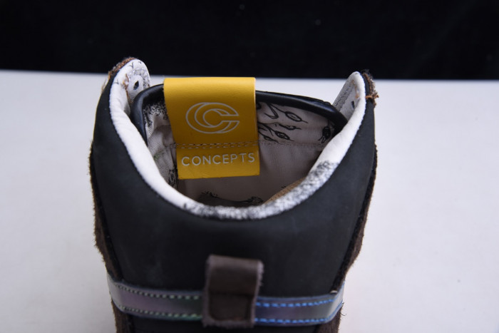 Concepts x Nike SB Duck HIgh Pro QS "Mallard" DC6887-200