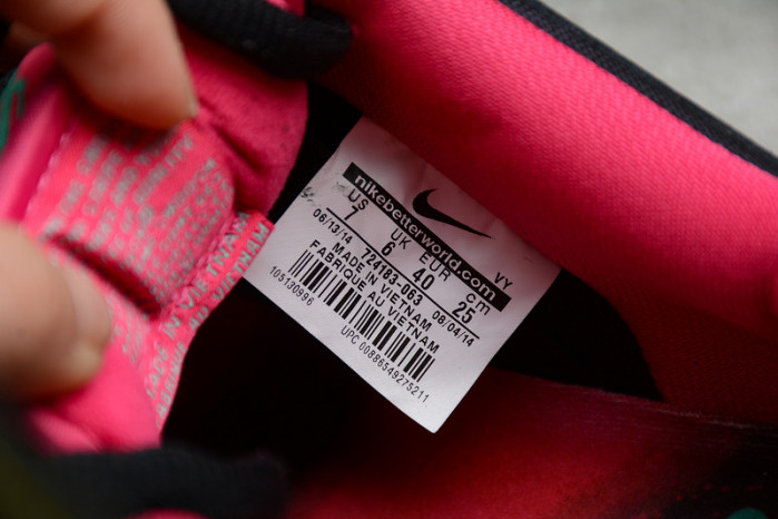 dunk low premium sb ae qs 