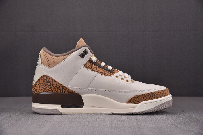 Air Jordan 3 Retro Palomino - CT8532-102
