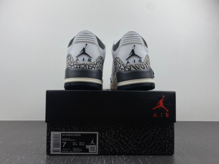 AIR JORDAN 3 GS HIDE N
