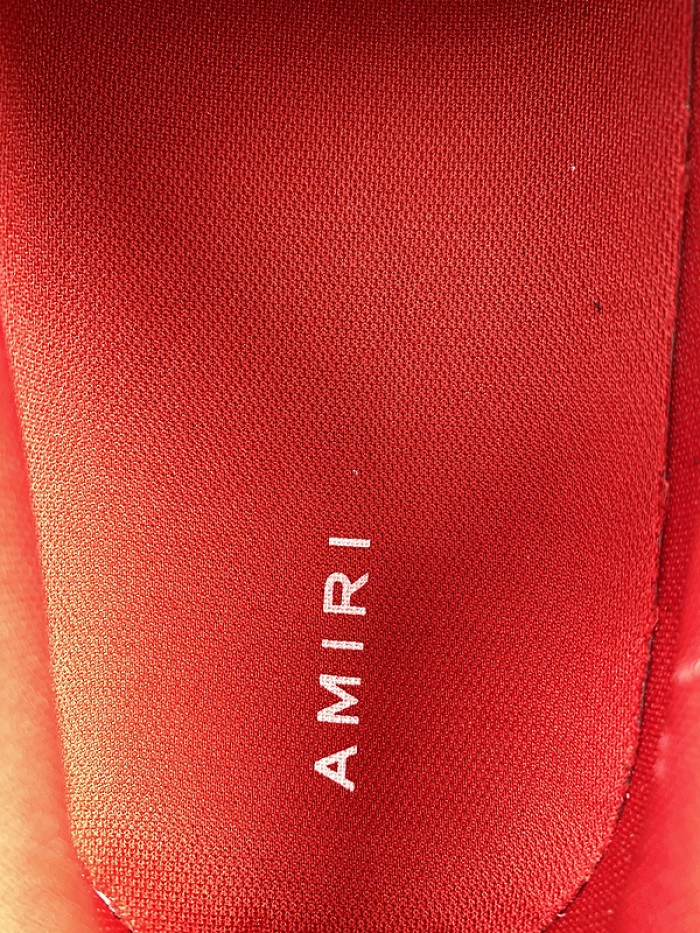 AMIRI 21FW SKEL TOP LOW SNEAKER